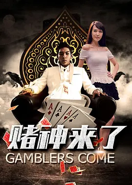白夜追凶电视剧免费观看全集高清